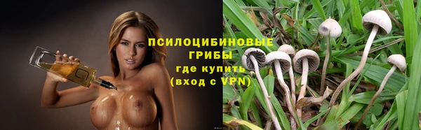 мяу мяу мука Абдулино