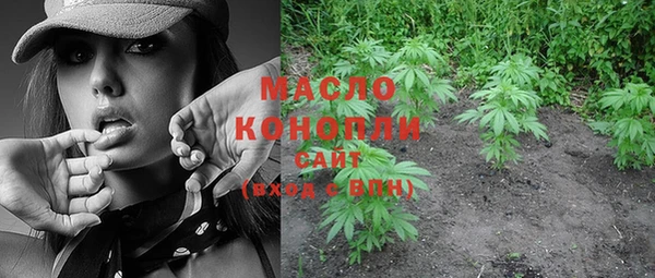 индика Инсар