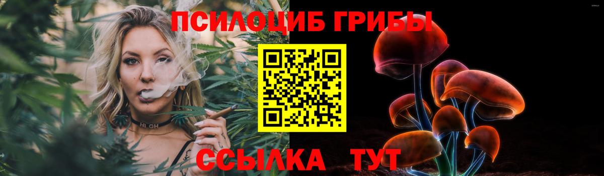 Юрга  Галлюциногенные грибы мухоморы  Псилоцибиновые грибы Magic Shrooms  Вход с VPN 